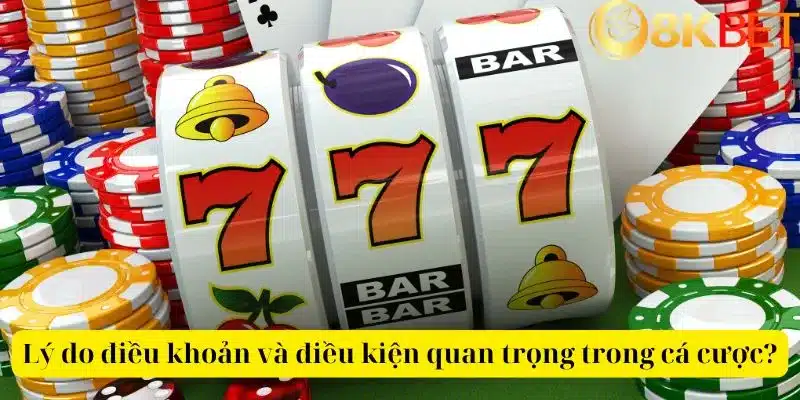 Lý do điều khoản và điều kiện quan trọng trong cá cược?